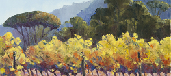 Autumn Vines - Delheim Estate | 2016 | Oil on Canvas | 42 x 60 cm